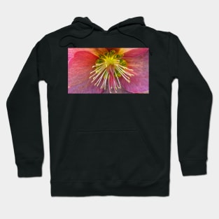 photographic closeup view of a single glowing vivid floral fantasy with delicate and intricate stamens against a black background Hoodie